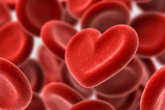 Heart shaped blood cells