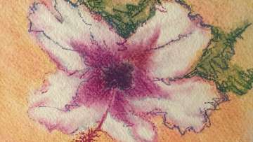 Katy Kearny sketched this hibiscus flower during a Healing Through Art session.