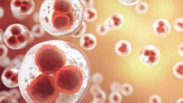 Closer to a Cure - Blood Cell