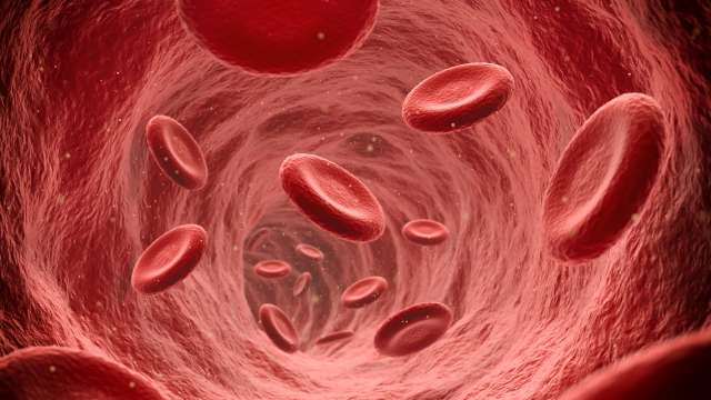 3D illustration of human blood cells floating in a vein