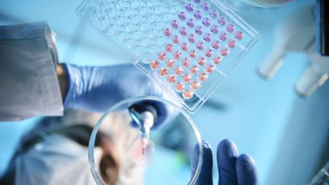 Researcher looking down into a petri dish in a lab