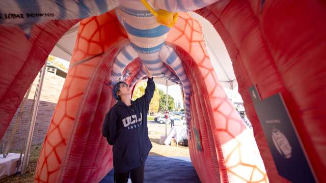 A young woman walks through an inflatable lung exhibit