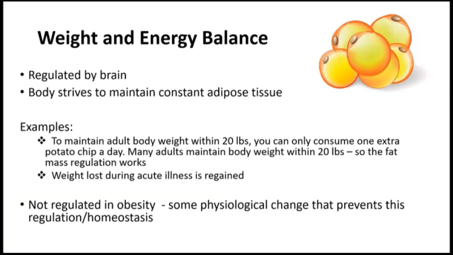 manage childhood obesity tips