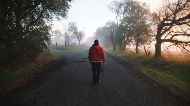 A person in a red hoodie walks down a misty, tree-lined road at dawn, their back to the camera.