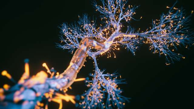 Close-up view of a neuron cell 