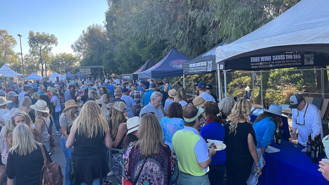 A large crowd gathered around various booths at VetFest 2025