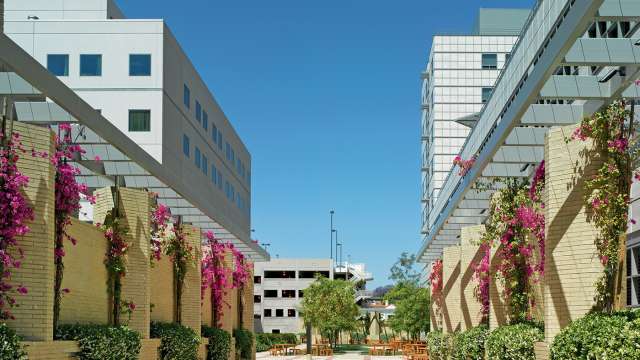 Garden outside of Resnick