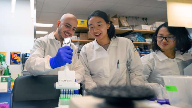 Young UCLA cancer researchers working in lab