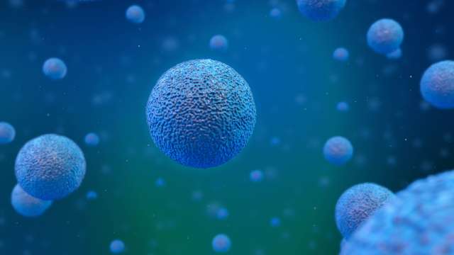 Cluster of cancer cells