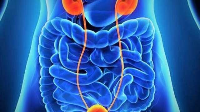 There are many levels of prostate/genitourinary cancers, and our UCLA team assures treatment is customized for each patient.