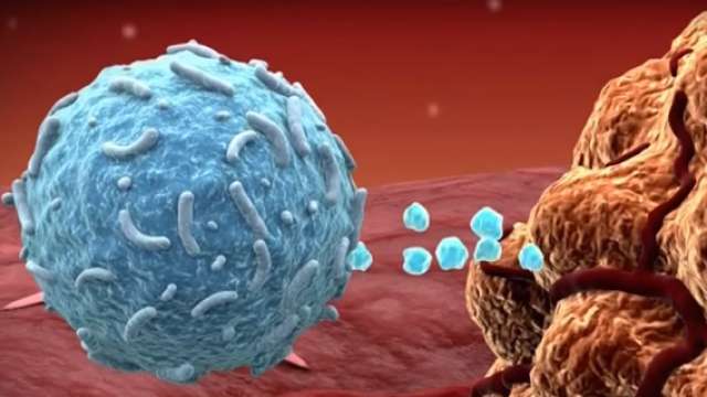 melanoma fighting drug