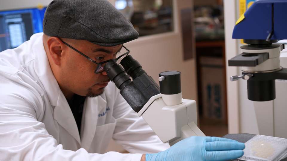 Scientist looking through microscope