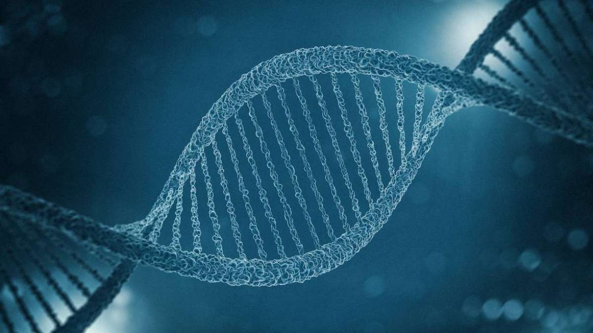 Precision medicine meets neurology at the Clinical Neurogenomics ...