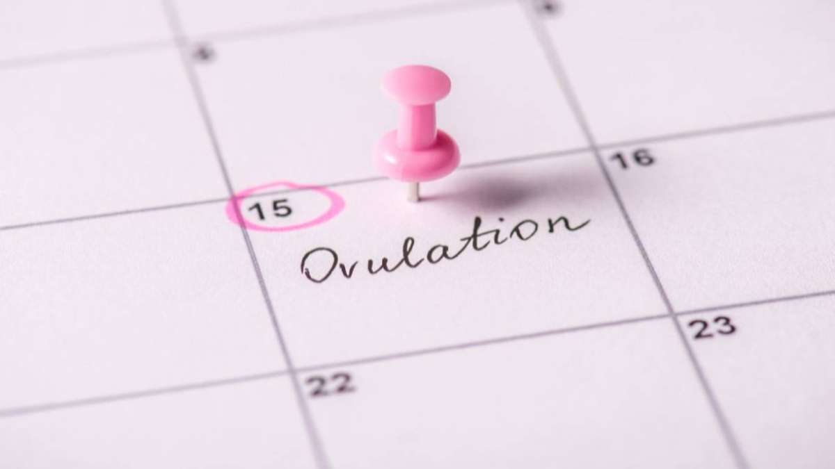 Natural fertility 101
