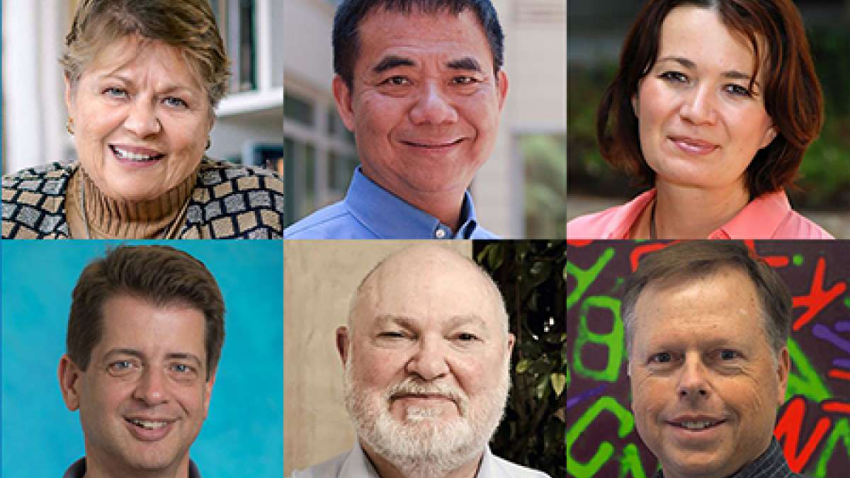 Six professors named 2019 fellows of the American Association for the ...