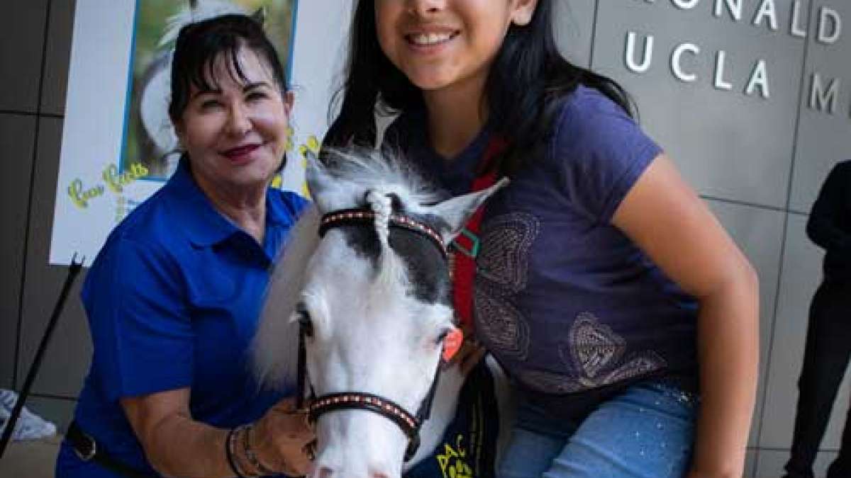 Dental Surprise UCLA Health
