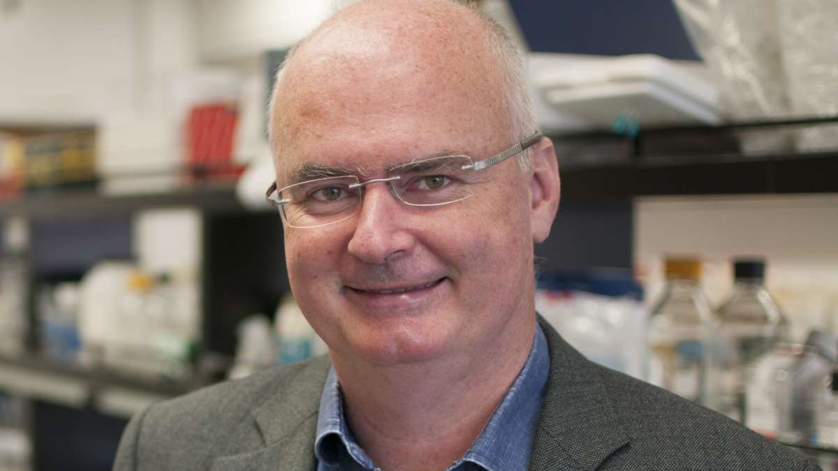 UCLA Researchers Find Link Between Intestinal Bacteria and White Blood