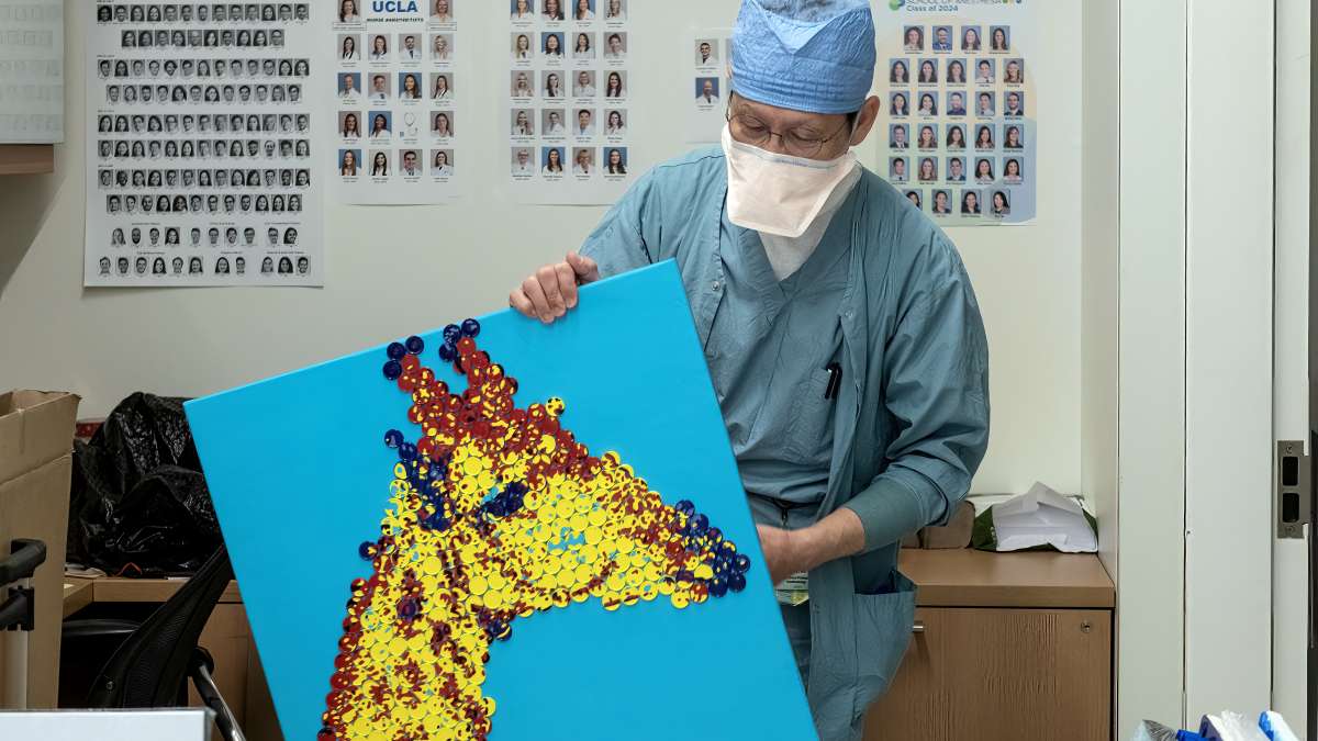 アート・デザイン・音楽 Masterpieces of Medical Photography アート・デザイン・音楽 Masterpieces of Medical Photography アート