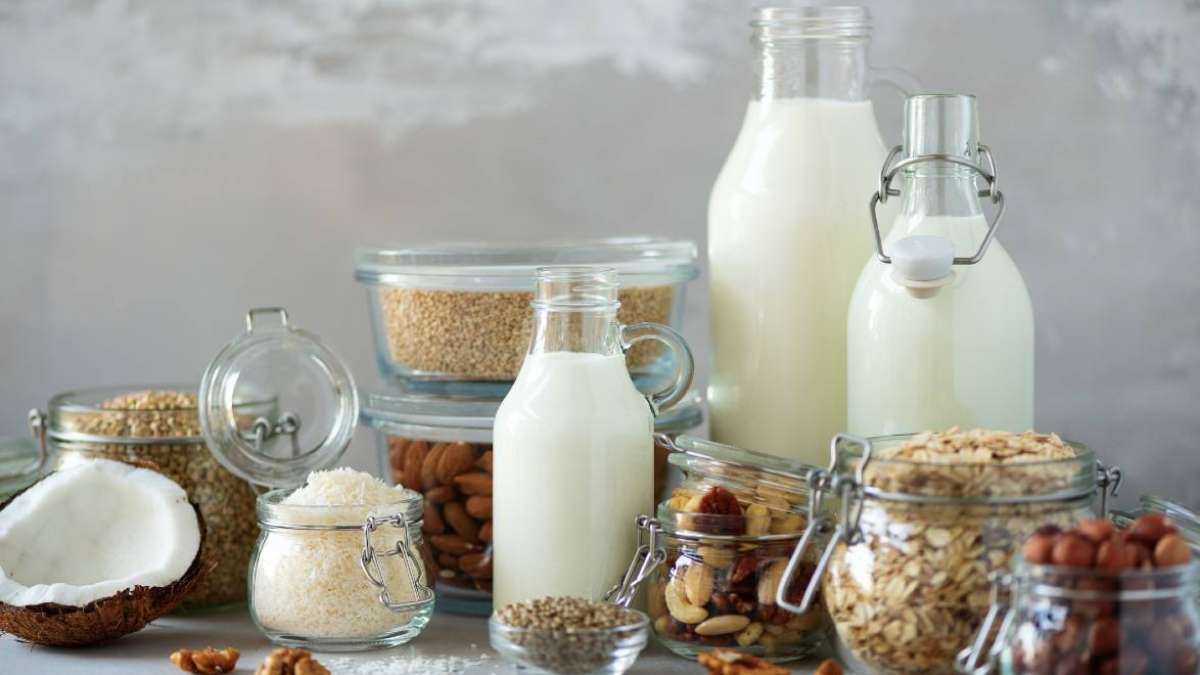 Which type of milk do you 'got?' Weighing the health benefits of many types  of milk