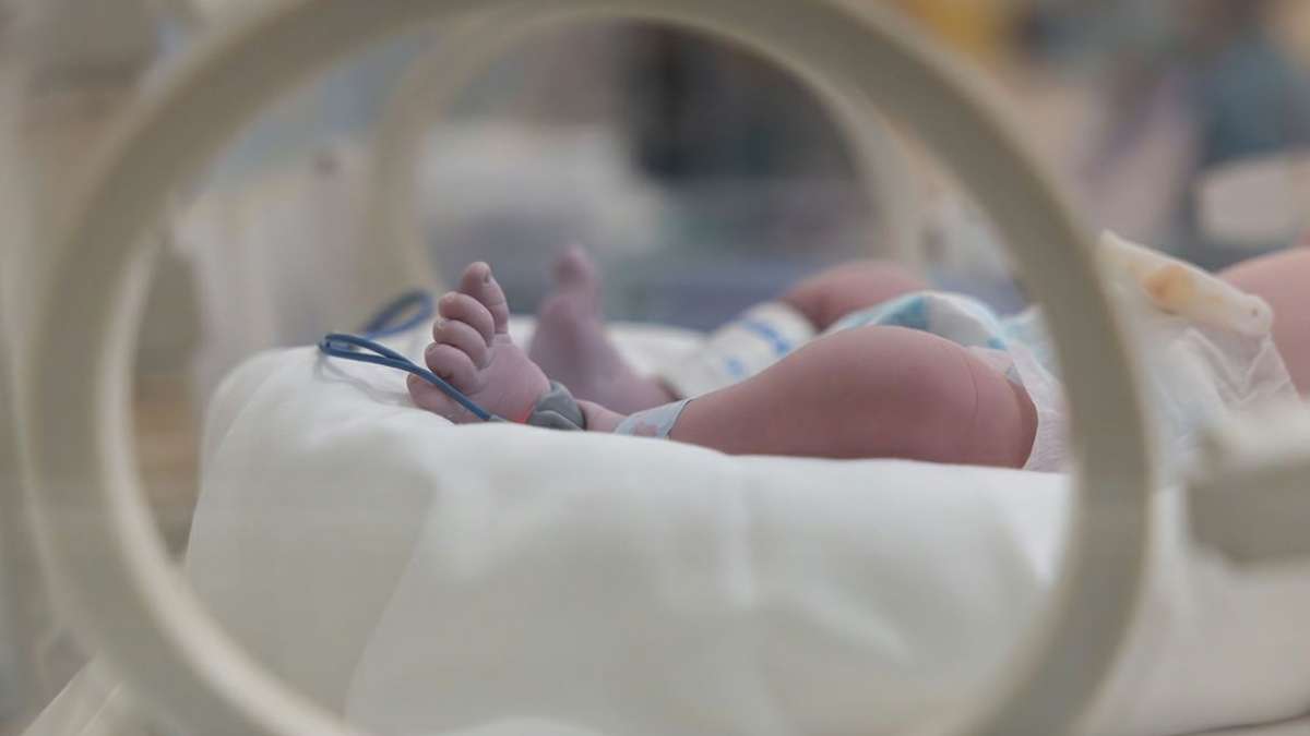 Restoring the healthy form of a protein could revive blood vessel growth in premature infants’ lungs