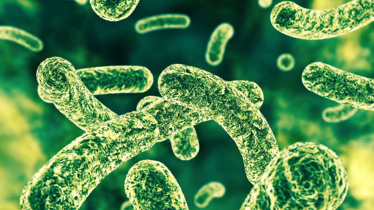 Photo: uclahealth.org Drug-Resistant Gonorrhea: A Growing Global Public Health Threat