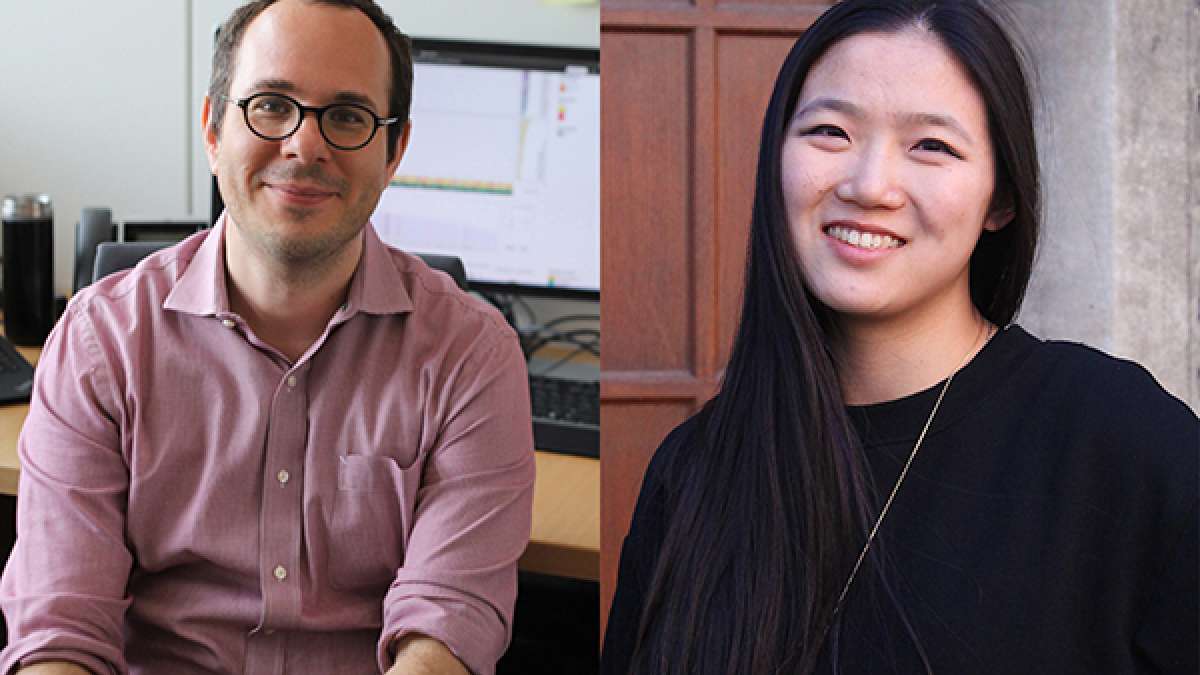 Lydia Rous Researchers create framework to help determine timing of cancer ...