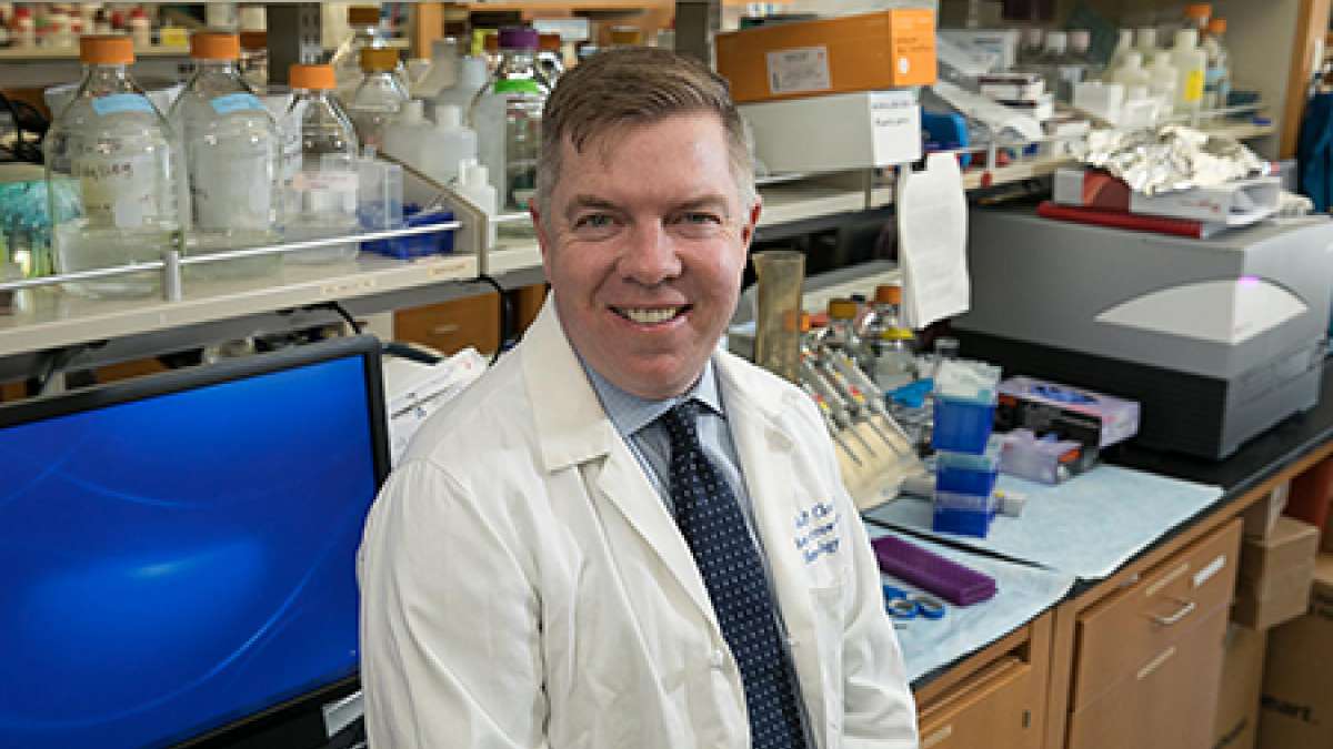 Antibody eradicates leukemia stem cells | UCLA Health