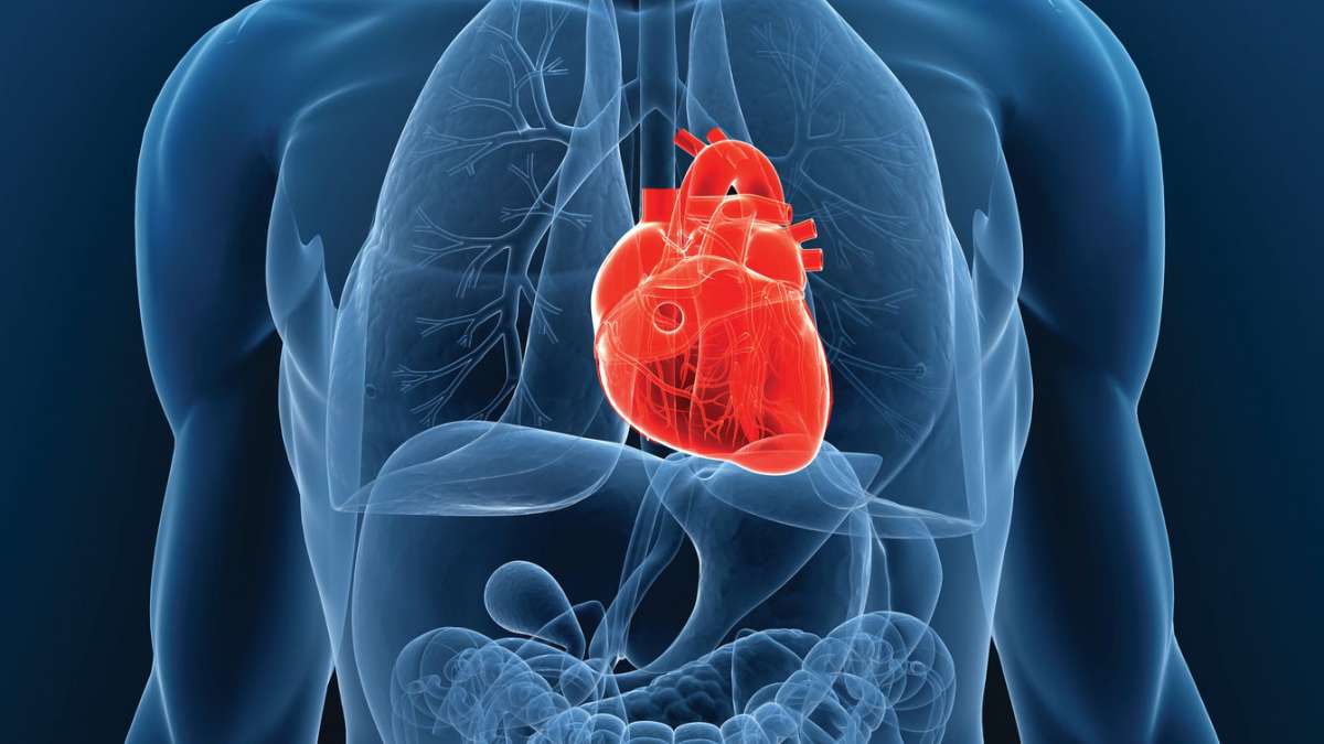 Cardiovascular risk score predicts multiple eye diseases