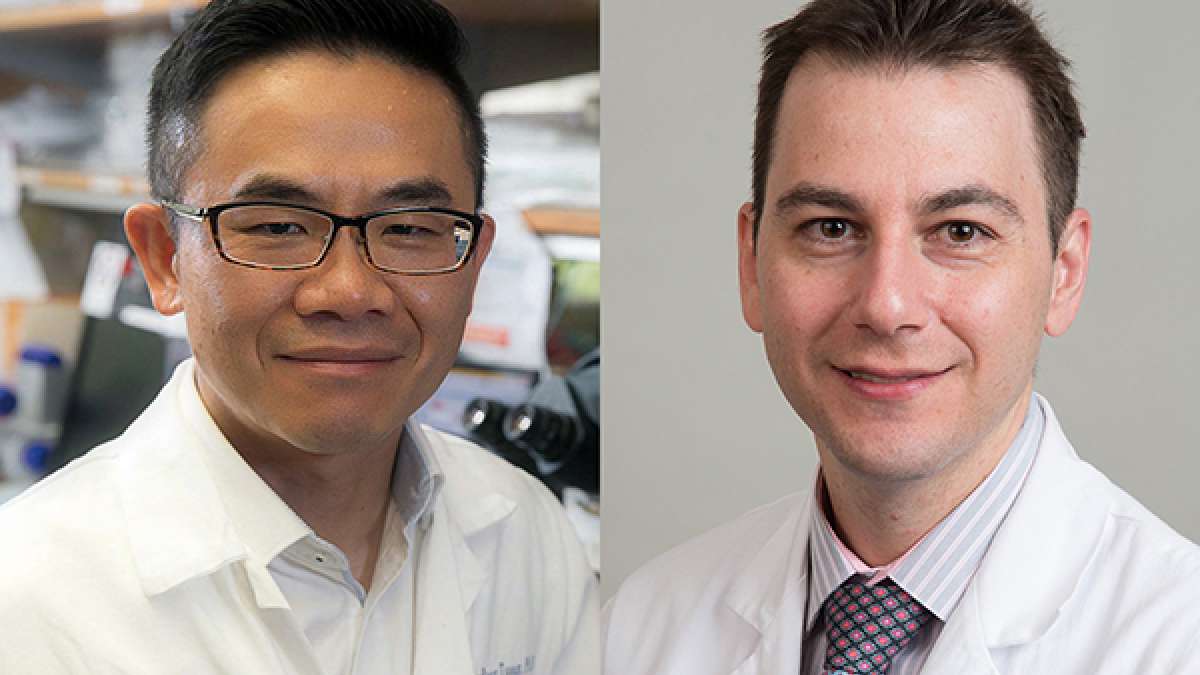Charlie Rabkin Cancer researchers receive $2.8 million grant to improve liver ...
