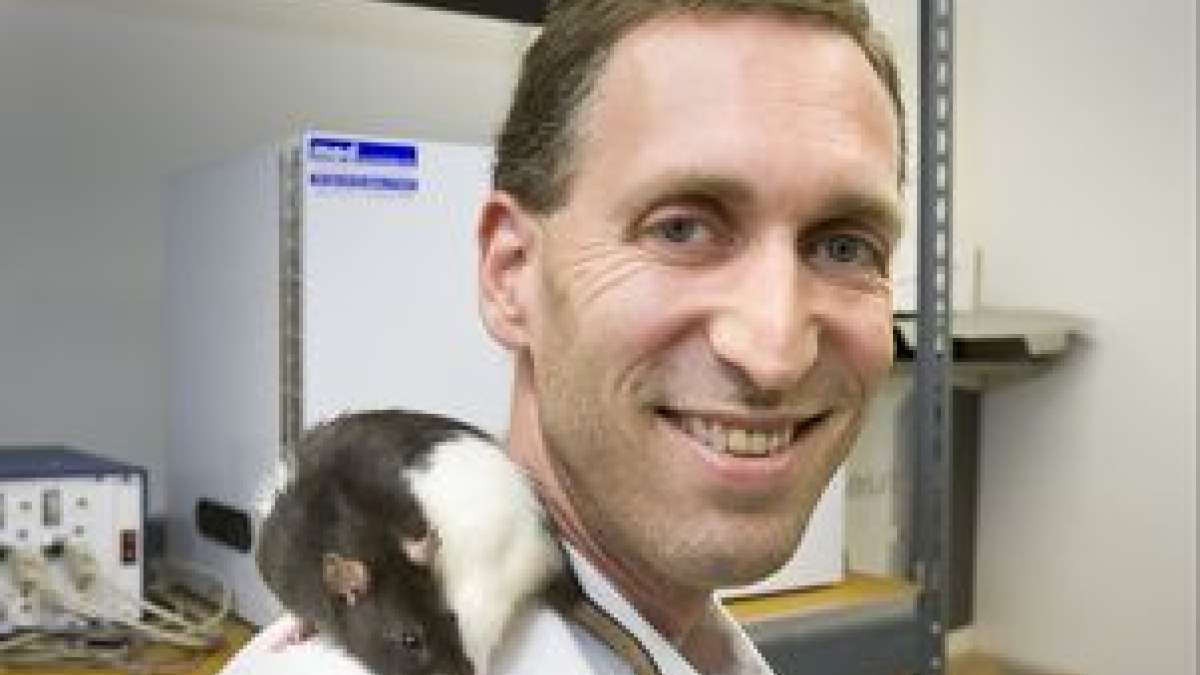 UCLA faculty voice: Rats ditch balanced diet to eat just like obese ...
