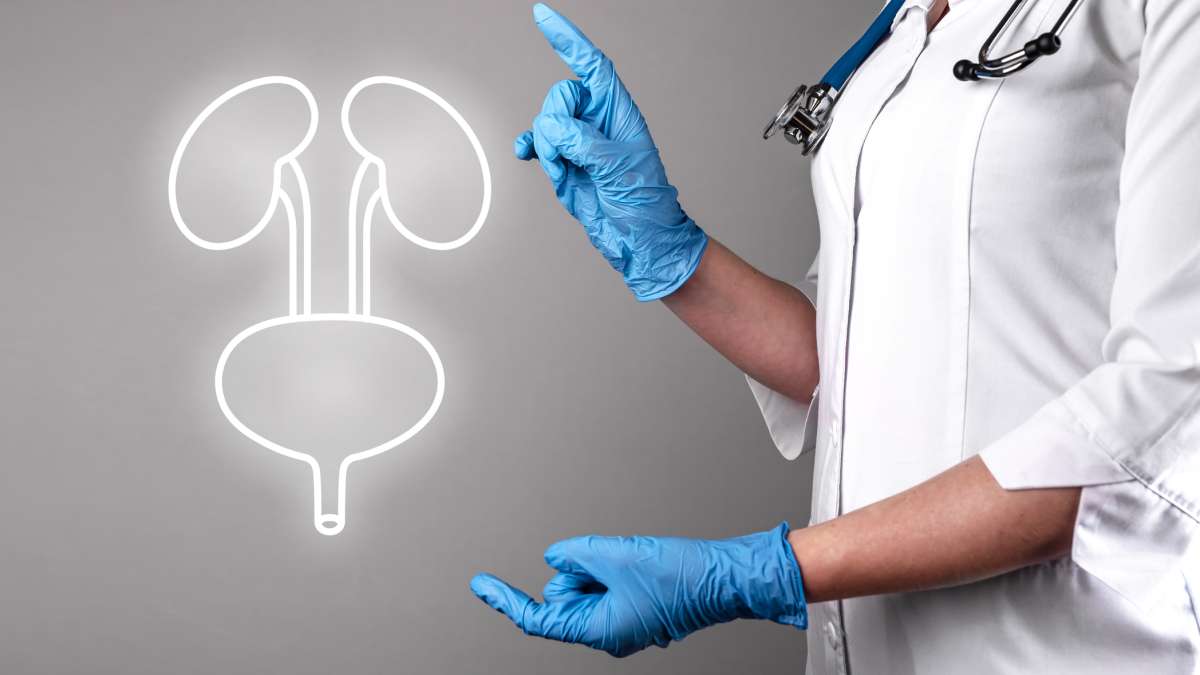 Urine culture necessary to identify bacteria causing UTI