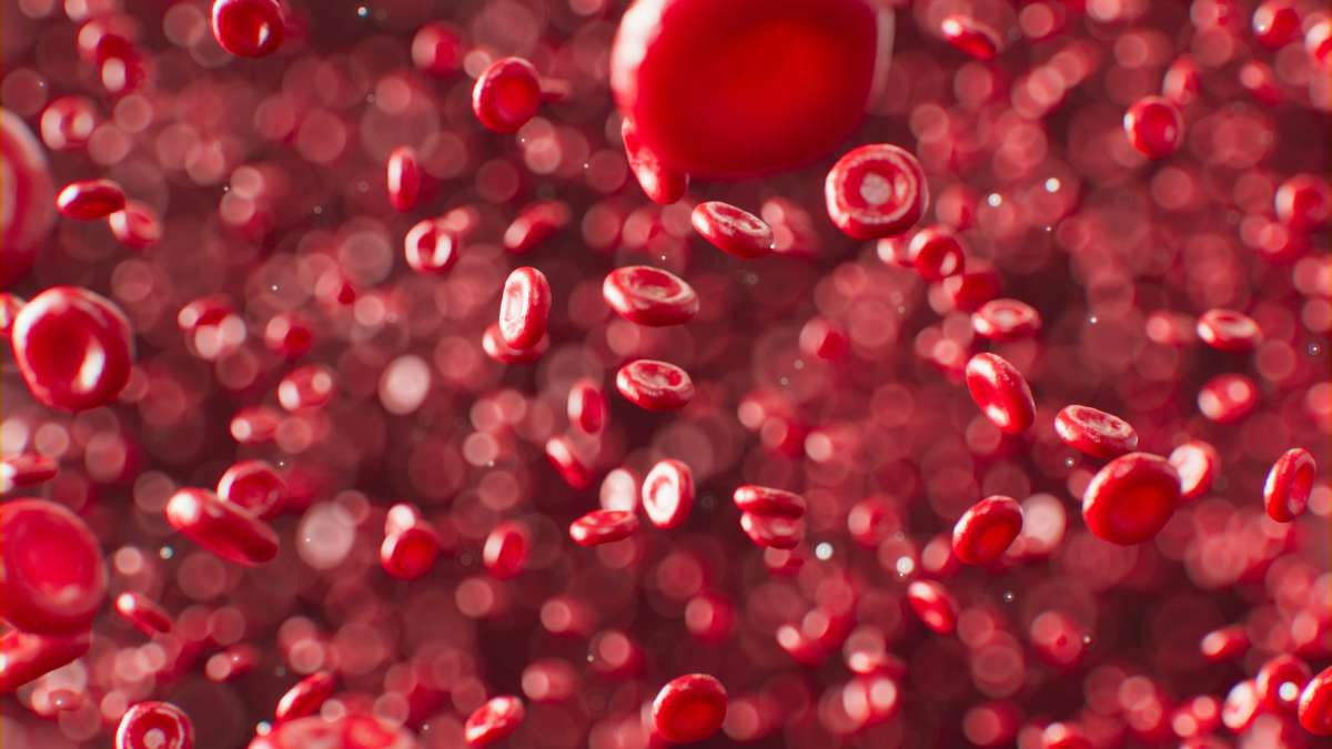is bpc 157 legal in sports The Human Lab Rats Injecting Themselves with Peptides | Office for Science  and Society