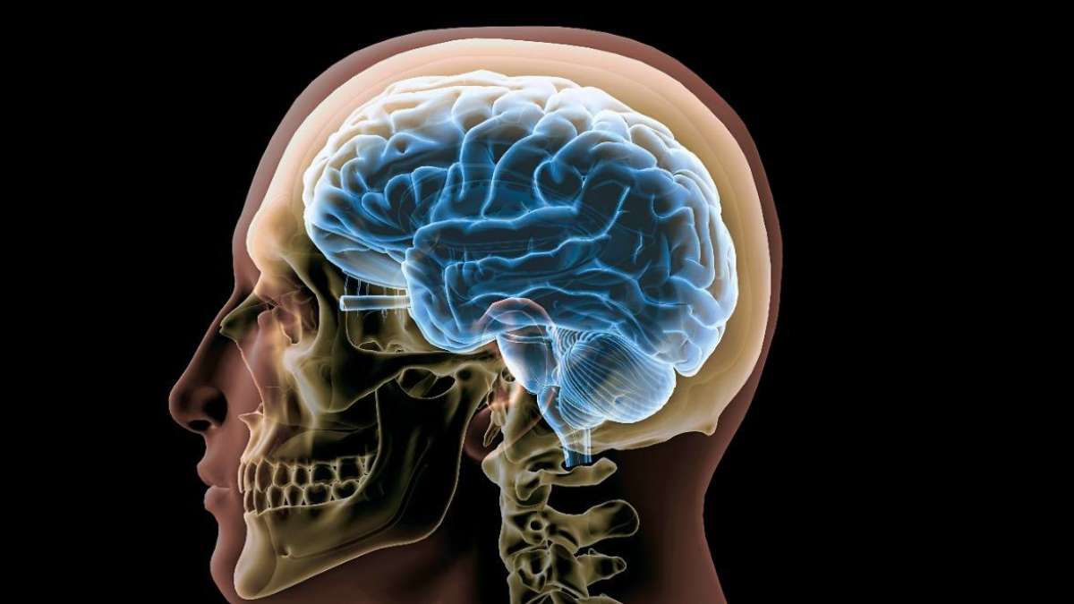 Parasitic tapeworms cause unusual neurological symptoms UCLA Health