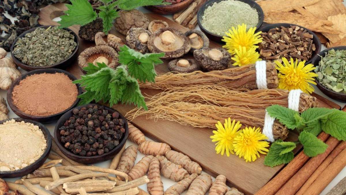 What are adaptogens and should you be taking them? | UCLA Health