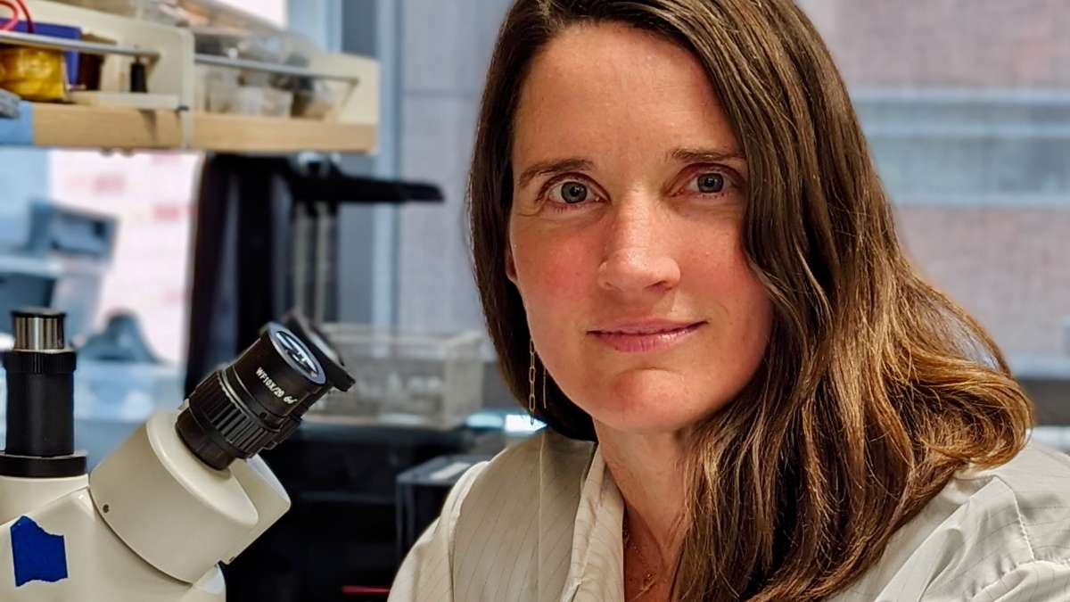 Dr. Anne Churchland granted National Academy of Sciences award for ...