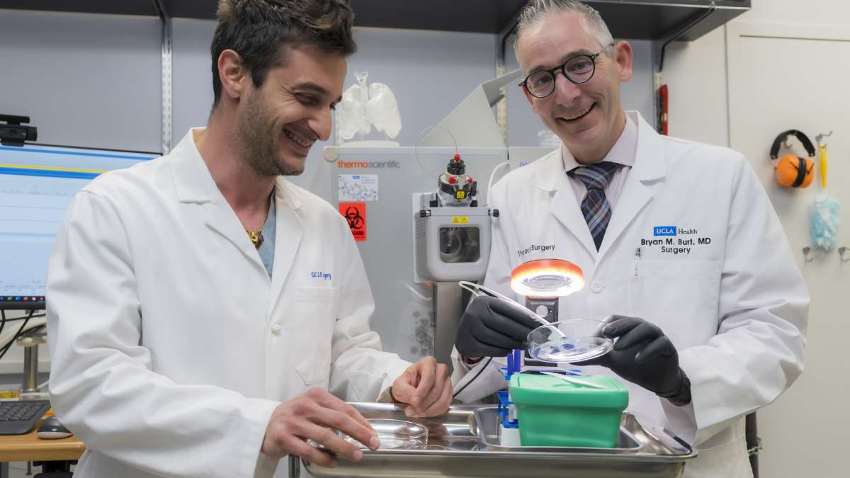 For rapid, precise lung cancer resections, researchers look to a pen