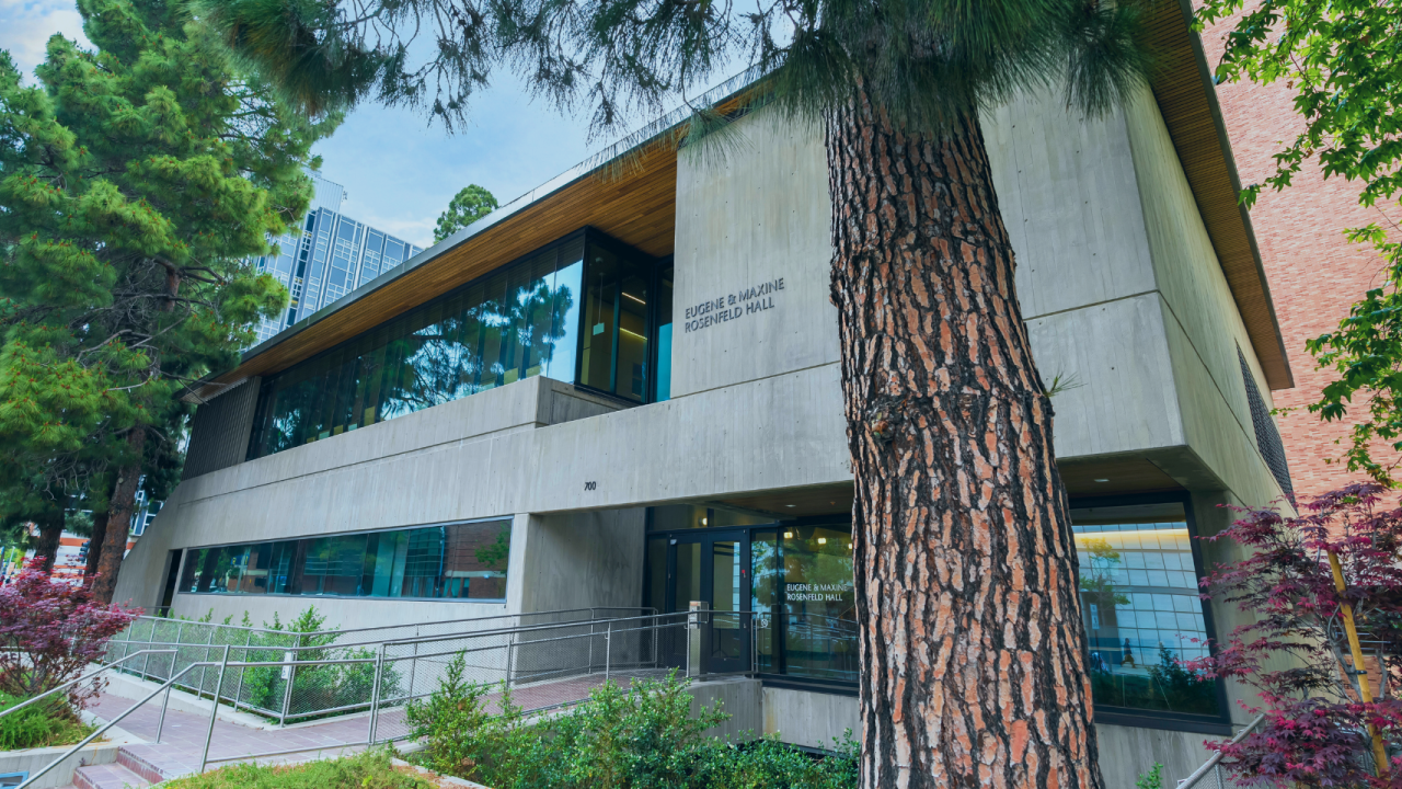Gray building exterior surrounded by trees