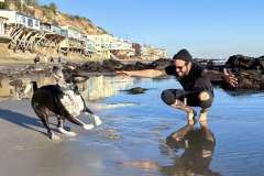 Niko Massaly, PhD, and his dog at the beach