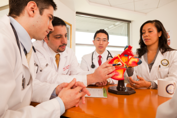 Dr. Benharash teaching with model of the heart