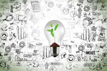 Lightbulb with growing plant inside bulb. In the background there's a lot of black and white hand drawings.