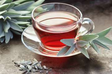 Herbal tea with sage leaves