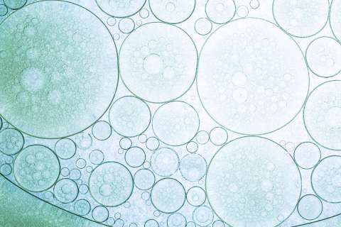 A macro close-up of soap bubbles