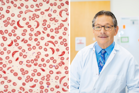Split view: red blood cell pattern and a doctor in a white coat and tie.
