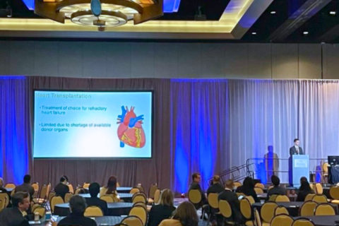 CORELAB Visiting Researcher presentation