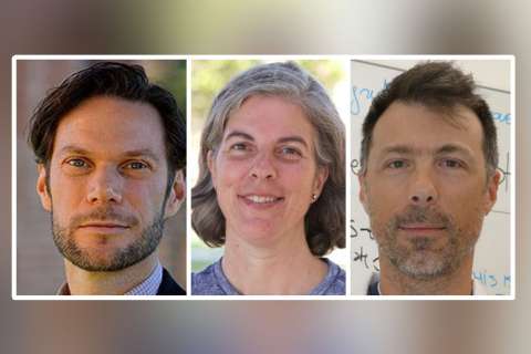 headshots of professors