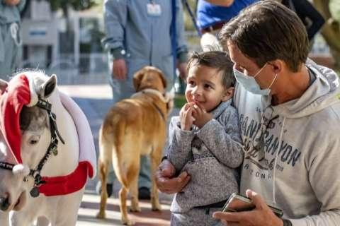Masked man holds toddler beside small white pony in festive harness