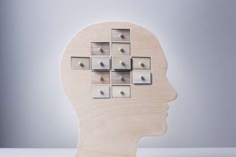 Wooden human head silhouette with nine small square drawers arranged like a brain