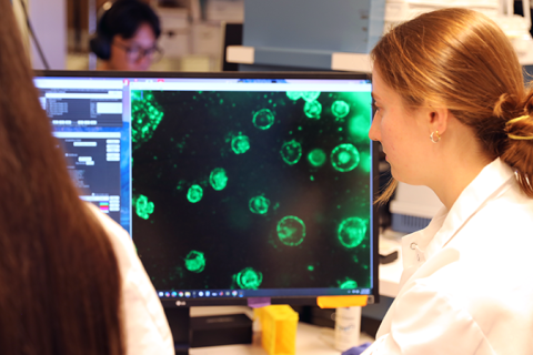 Two researchers at a lab monitor displaying fluorescent green cell images