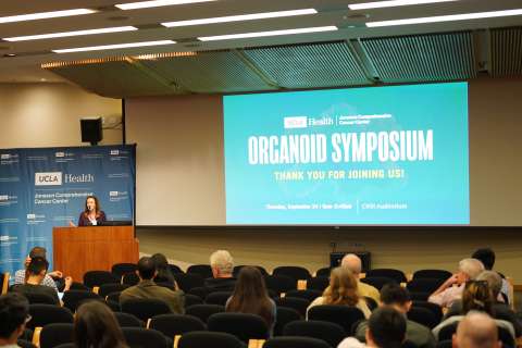 Speaker at podium addressing seated audience at Organoid Symposium