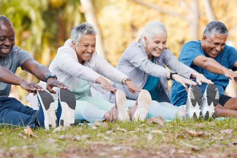 mobility exercise blog